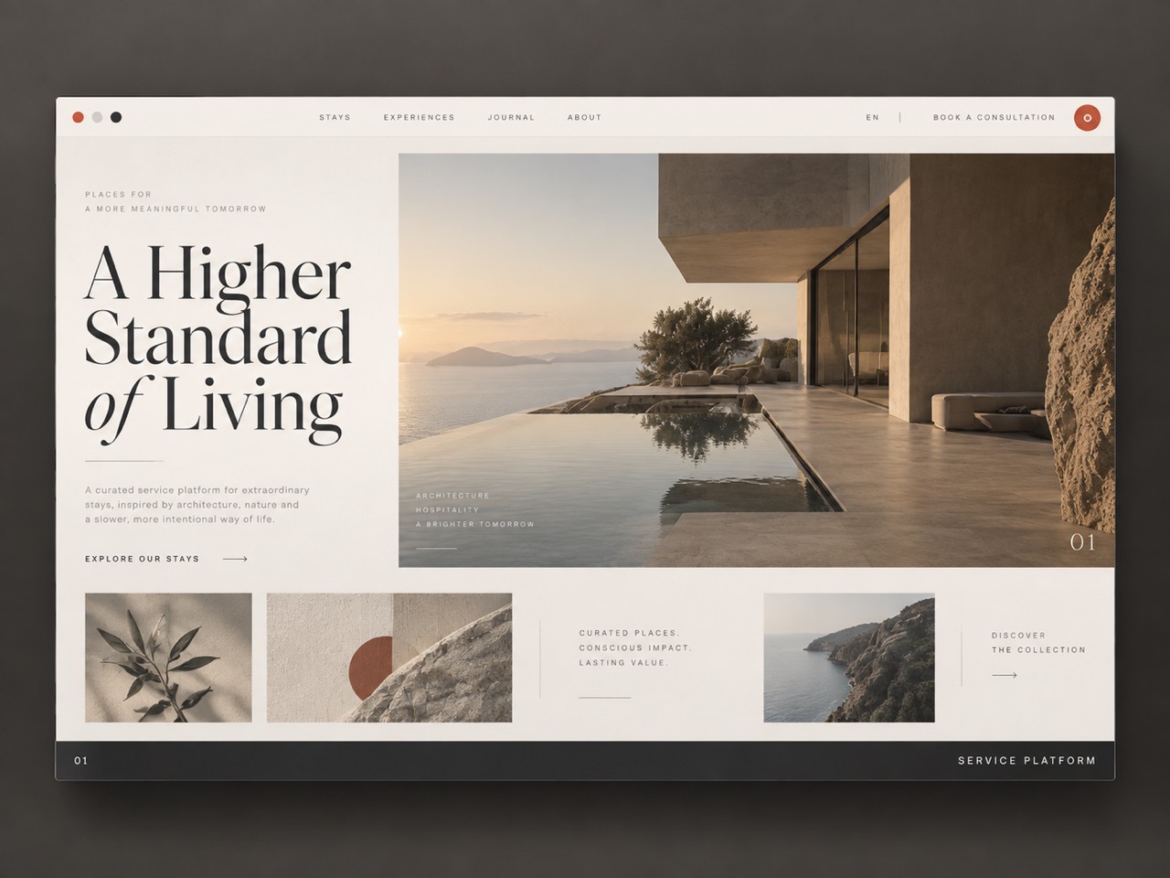 Website experience preview